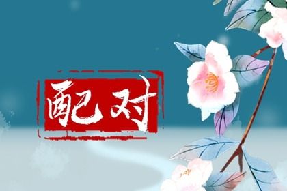 车牌号吉凶查询 车牌号打分测试 算车牌号码吉凶查询 八字选车牌号码 测试车牌号码吉凶得分